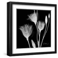 Gentian Xray 1-Albert Koetsier-Framed Art Print