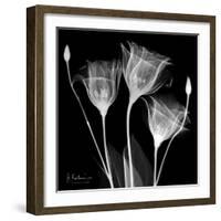 Gentian Xray 1-Albert Koetsier-Framed Art Print