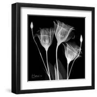 Gentian Xray 1-Albert Koetsier-Framed Art Print