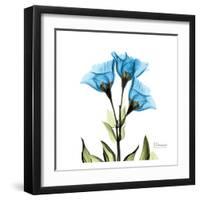 Gentian-Albert Koetsier-Framed Art Print