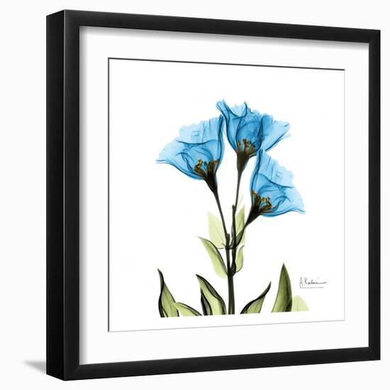 Gentian-Albert Koetsier-Framed Art Print