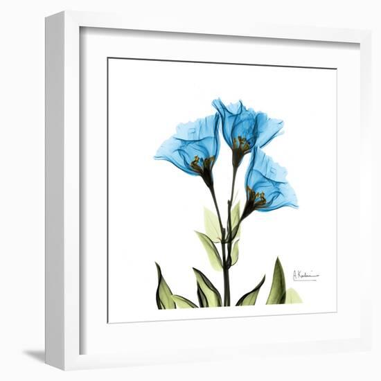 Gentian-Albert Koetsier-Framed Art Print