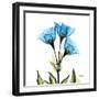 Gentian-Albert Koetsier-Framed Art Print