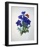 Gentiana Acaulis or Stemless Blue Gentian, from Choix des plus belles fleurs, 1827-33-Pierre-Joseph Redouté-Framed Giclee Print