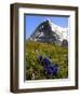 Gentians, Alpine Flowers in Front of the Eiger, Kleine Scheidegg, Bernese Oberland, Switzerland-Richardson Peter-Framed Photographic Print