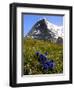 Gentians, Alpine Flowers in Front of the Eiger, Kleine Scheidegg, Bernese Oberland, Switzerland-Richardson Peter-Framed Photographic Print