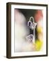 Gentle Bloom-Mikael Svensson-Framed Giclee Print