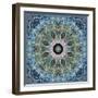 Gentle Blue Frosted Leafes in the Forest Mandala-Alaya Gadeh-Framed Photographic Print