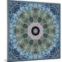 Gentle Blue Frosted Leafes in the Forest Mandala-Alaya Gadeh-Mounted Photographic Print