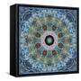 Gentle Blue Frosted Leafes in the Forest Mandala-Alaya Gadeh-Framed Stretched Canvas