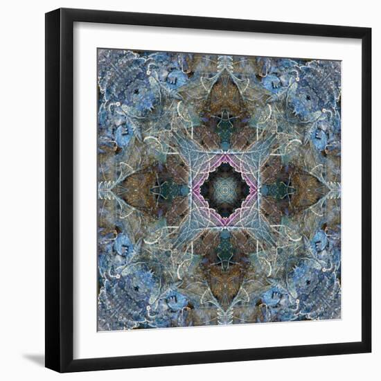 Gentle Blue Frosted Leafes in the Forest-Alaya Gadeh-Framed Photographic Print