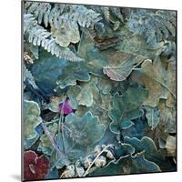 Gentle Blue Frosted Leafes in the Forest-Alaya Gadeh-Mounted Photographic Print
