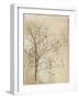 Gentle Breeze I-Ken Hurd-Framed Giclee Print