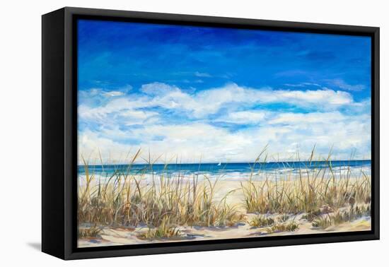 Gentle Breeze-Julie DeRice-Framed Stretched Canvas