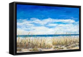 Gentle Breeze-Julie DeRice-Framed Stretched Canvas