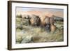 Gentle Breezes-Trevor V. Swanson-Framed Giclee Print