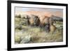 Gentle Breezes-Trevor V. Swanson-Framed Giclee Print