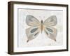 Gentle Butterfly II-Courtney Prahl-Framed Art Print