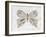 Gentle Butterfly II-Courtney Prahl-Framed Art Print