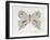 Gentle Butterfly II-Courtney Prahl-Framed Art Print