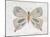 Gentle Butterfly II-Courtney Prahl-Mounted Art Print