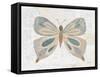 Gentle Butterfly II-Courtney Prahl-Framed Stretched Canvas