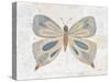 Gentle Butterfly II-Courtney Prahl-Stretched Canvas