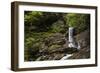 Gentle Cascade-Brenda Petrella Photography LLC-Framed Giclee Print