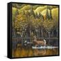 Gentle Companions-John Van Straalen-Framed Stretched Canvas