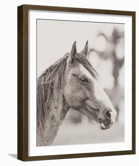 Gentle Gaze-Wink Gaines-Framed Giclee Print