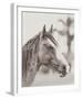 Gentle Gaze-Wink Gaines-Framed Giclee Print