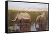 Gentle Giants-David Knowlton-Framed Stretched Canvas