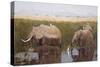 Gentle Giants-David Knowlton-Stretched Canvas