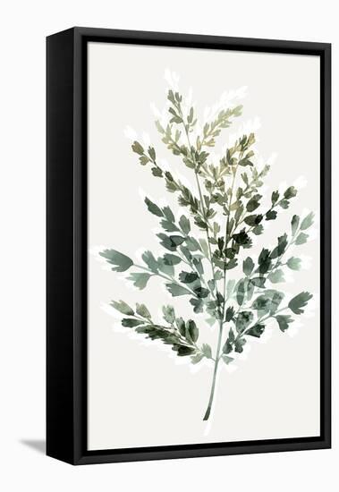 Gentle Leaves-PI Studio-Framed Stretched Canvas