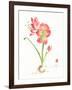 Gentle Love I-Nan Rae-Framed Art Print