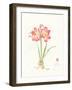 Gentle Love II-Nan Rae-Framed Art Print