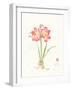 Gentle Love II-Nan Rae-Framed Art Print