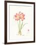 Gentle Love II-Nan Rae-Framed Art Print