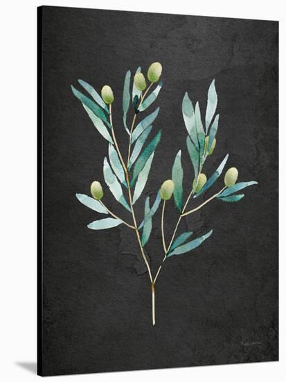 Gentle Olive Branch on Black-Mercedes Lopez Charro-Stretched Canvas