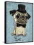 Gentle Pug-Barruf-Framed Stretched Canvas