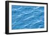 Gentle Ripples-Brenda Petrella Photography LLC-Framed Giclee Print