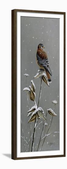 Gentle Snowfall - Kestrel-Wilhelm Goebel-Framed Giclee Print