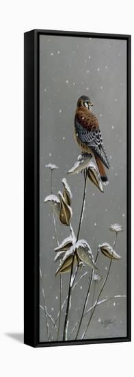 Gentle Snowfall - Kestrel-Wilhelm Goebel-Framed Stretched Canvas