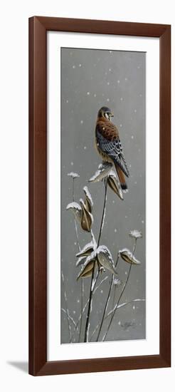 Gentle Snowfall - Kestrel-Wilhelm Goebel-Framed Giclee Print