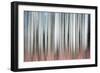 Gentle Snowfall-Ursula Abresch-Framed Photographic Print