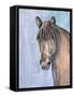 Gentle Stallion 2-Doris Charest-Framed Stretched Canvas