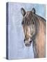 Gentle Stallion 2-Doris Charest-Stretched Canvas