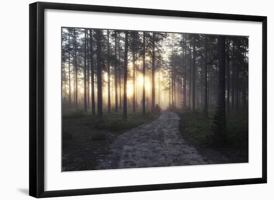 Gentle Sun-Andreas Stridsberg-Framed Giclee Print