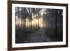 Gentle Sun-Andreas Stridsberg-Framed Giclee Print