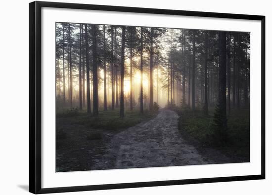 Gentle Sun-Andreas Stridsberg-Framed Giclee Print